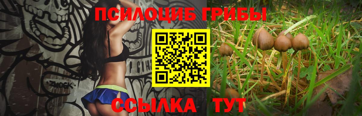 Еманжелинск  где купить наркоту  Вход с VPN  Галлюциногенные грибы прущие грибы 