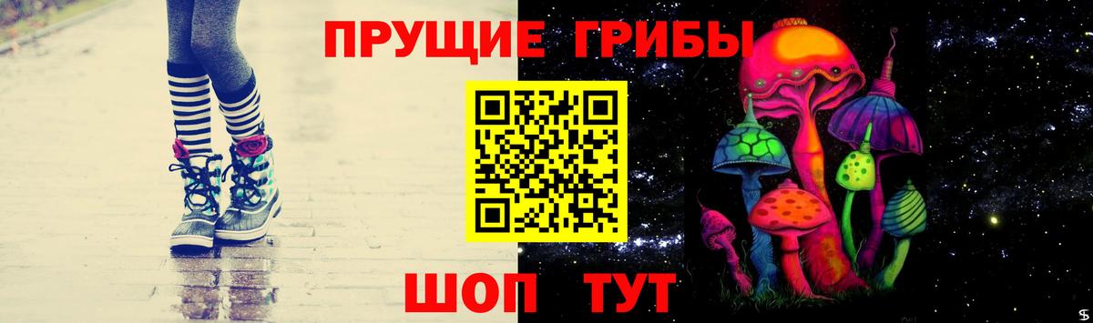 Галлюциногенные грибы Psilocybine cubensis Еманжелинск